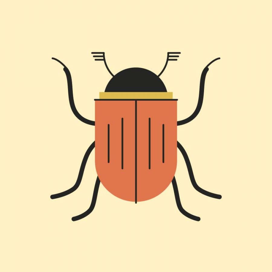 bug formedia graphic design lehrgang