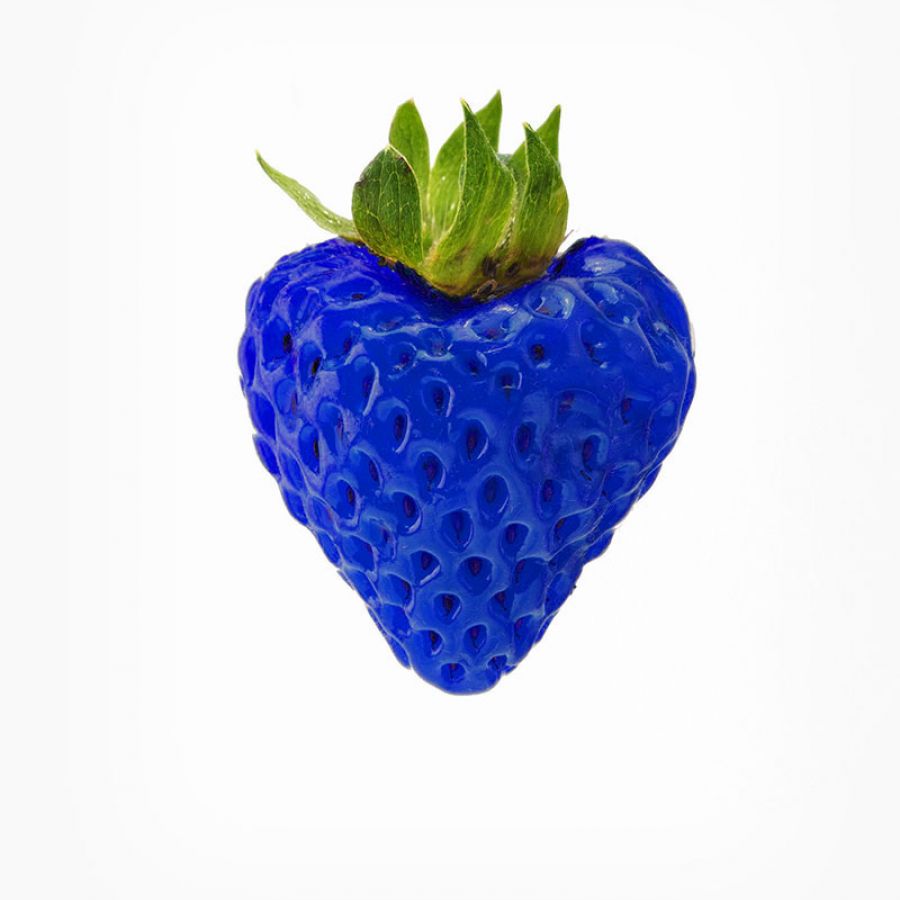 photoshop-kurs